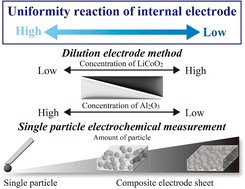 Graphical abstract: Concentration shift experiment with an electrode of active material for precise electrochemical analysis