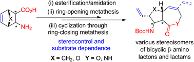 Graphical abstract: Stereocontrolled synthesis of some novel functionalized heterocyclic amino ester and amide derivatives with multiple stereocenters