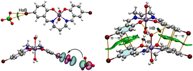 Graphical abstract: An insight into the hydrogen bonding, halogen bonding and chalcogen bonding interactions in manganese(iii) complexes with N2O2donor salicylidine Schiff base ligands
