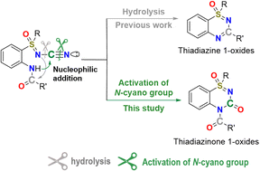 Graphical abstract: Intramolecular cyclization of N-cyano sulfoximines by N–CN bond activation