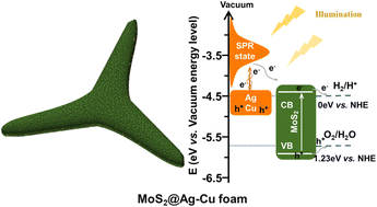 Graphical abstract: Photoelectrocatalytic hydrogen evolution reaction stimulated by the surface plasmon resonance effect of copper and silver surrounded with MoS2