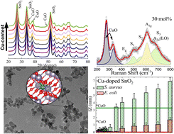 Graphical abstract: Cu-doped SnO2 nanoparticles: size and antibacterial activity investigations