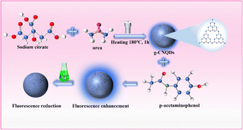 Graphical abstract: Novel “on–off” fluorescence sensing for rapid and accurate determination of Cr3+ based on g-CNQDs