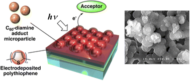 Graphical abstract: Fabrication and photoelectric conversion of densely packed C60–ethylenediamine adduct microparticle films-modified electrode covered with electrochemically deposited polythiophene thin-films