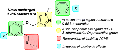 Graphical abstract: Novel uncharged triazole salicylaldoxime derivatives as potential acetylcholinesterase reactivators: comprehensive computational study, synthesis and in vitro evaluation