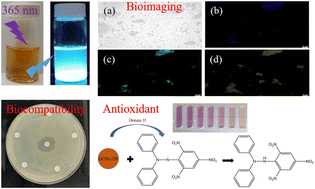 Graphical abstract: Green synthesis of gardenia seeds-based carbon dots for bacterial imaging and antioxidant activity in aqueous and oil samples