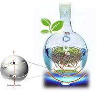 Graphical abstract: Practical photocatalytic and sonophotocatalytic reduction of nitroarenes in water under blue LED irradiation using β-CD modified TiO2 as a green nest photocatalyst