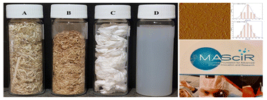 Graphical abstract: Hemp cellulose nanocrystals for functional chitosan/polyvinyl alcohol-based films for food packaging applications