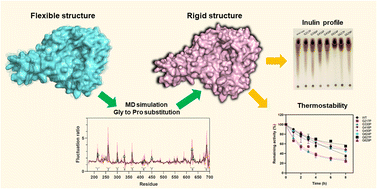 Graphical abstract: Improving the thermostability and modulating the inulin profile of inulosucrase through rational glycine-to-proline substitution