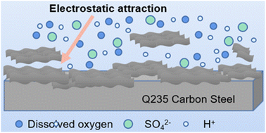 Graphical abstract: Ti3AlC2 MXene nanosheets as a novel corrosion inhibitor for carbon steel in 0.5 M sulfuric acid solution