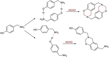 Graphical abstract: The role of non-covalent interactions in 4-hydroxybenzylamine macrocyclisation: computational and synthetic evidence