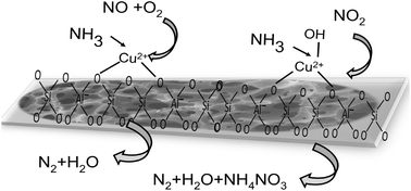 Graphical abstract: Experimental investigation of mass transfer and pressure drop in NH3 SCR over self-supporting Cu-ZSM-5 foam