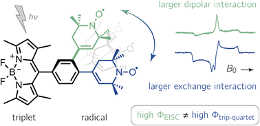 Graphical abstract: Distance dependence of enhanced intersystem crossing in BODIPY–nitroxide dyads