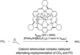 Graphical abstract: Cationic tetranuclear macrocyclic CaCo3 complexes as highly active catalysts for alternating copolymerization of propylene oxide and carbon dioxide