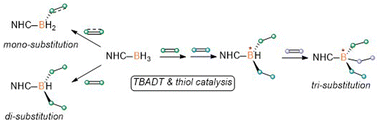 Graphical abstract: Selective multifunctionalization of N-heterocyclic carbene boranes via the intermediacy of boron-centered radicals