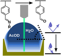 Graphical abstract: Molecular in situ monitoring of the pH-triggered response in adaptive polymers by two-dimensional Raman micro-correlation-spectroscopy