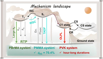 Graphical abstract: Mechanism landscape in pyrylium induced organic afterglow systems