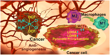 Graphical abstract: Regulating tumor glycometabolism and the immune microenvironment by inhibiting lactate dehydrogenase with platinum(iv) complexes