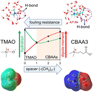 Graphical abstract: Hydration behaviors of nonfouling zwitterionic materials