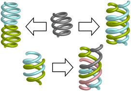 Graphical abstract: Controlling aromatic helix dimerization in water by tuning charge repulsions