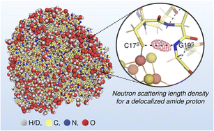 Graphical abstract: New insights into the oxidation process from neutron and X-ray crystal structures of an O2-sensitive [NiFe]-hydrogenase