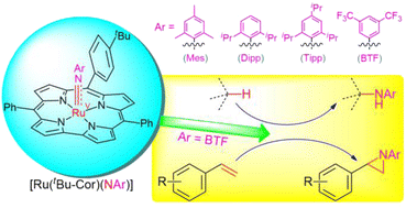 Graphical abstract: Ruthenium(v) terminal arylimido corroles: isolation, spectroscopic characterization and reactivity