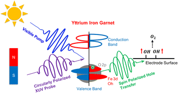 Graphical abstract: Spin polarized electron dynamics enhance water splitting efficiency by yttrium iron garnet photoanodes: a new platform for spin selective photocatalysis