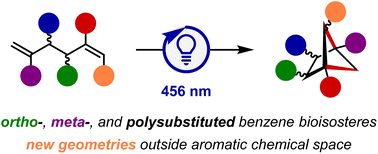 Graphical abstract: Synthesis of polysubstituted bicyclo[2.1.1]hexanes enabling access to new chemical space