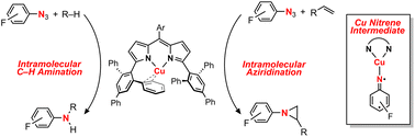 Graphical abstract: Nitrene transfer from a sterically confined copper nitrenoid dipyrrin complex
