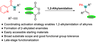 Graphical abstract: Coordinating activation strategy enables 1,2-alkylamidation of alkynes