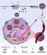 Graphical abstract: A supramolecular nanoplatform for imaging-guided phototherapies via hypoxia tumour microenvironment remodeling