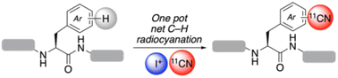 Graphical abstract: C–H radiocyanation of bioactive molecules via sequential iodination/copper-mediated cross-coupling
