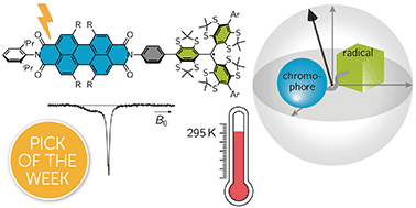 Graphical abstract: PDI–trityl dyads as photogenerated molecular spin qubit candidates