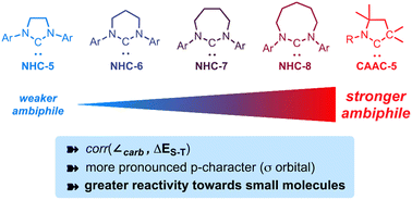 Graphical abstract: Ambiphilicity of ring-expanded N-heterocyclic carbenes