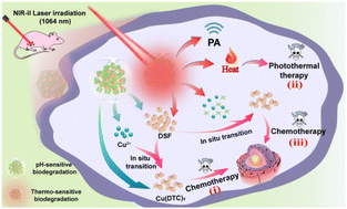 Graphical abstract: Programmable “triple attack” cancer therapy through in situ activation of disulfiram toxification combined with phototherapeutics