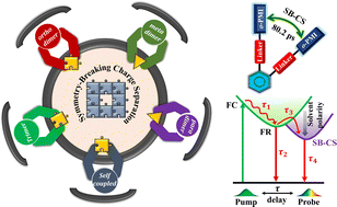 Graphical abstract: Ultrafast symmetry-breaking charge separation in Perylenemonoimide-embedded multichromophores: impact of regioisomerism