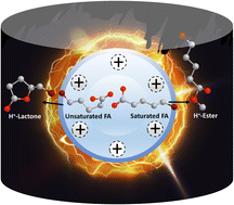 Graphical abstract: Charge inversion under plasma-nanodroplet reaction conditions excludes Fischer esterification for unsaturated fatty acids: a chemical approach for type II isobaric overlap