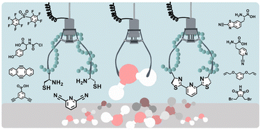 Graphical abstract: Biocompatible strategies for peptide macrocyclisation