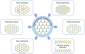 Graphical abstract: Molecular modulation strategies for two-dimensional transition metal dichalcogenide-based high-performance electrodes for metal-ion batteries