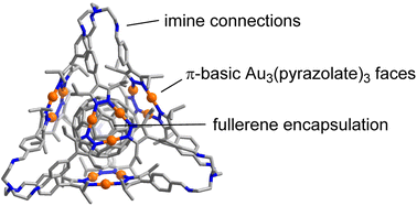 Graphical abstract: Molecular imine cages with π-basic Au3(pyrazolate) faces