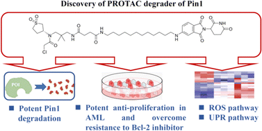 Graphical abstract: Discovery of potent PROTAC degraders of Pin1 for the treatment of acute myeloid leukemia