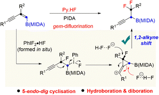 Graphical abstract: Reactivity of 1,3-enyne MIDA boronates: exploration of novel 1,2-alkyne shift via gem-difluorination