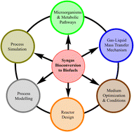 Graphical abstract: Syngas conversion to biofuels and biochemicals: a review of process engineering and mechanisms