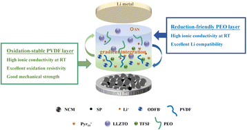 Graphical abstract: Gradient-integrated bilayer solid polymer electrolyte enabling enhanced room-temperature cyclability for rechargeable lithium metal batteries