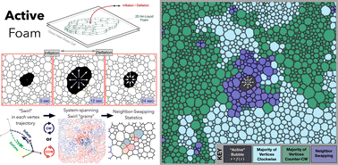 Graphical abstract: Active foam: the adaptive mechanics of 2D air–liquid foam under cyclic inflation