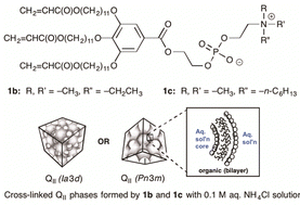Graphical abstract: Cross-linkable, phosphobetaine-based, zwitterionic amphiphiles that form lyotropic bicontinuous cubic phases