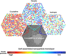Graphical abstract: Topological phases in nanoparticle monolayers: can crystalline, hexatic, and isotropic-fluid phases coexist in the same monolayer?