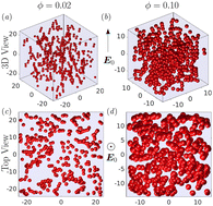 Graphical abstract: On the absence of collective motion in a bulk suspension of spontaneously rotating dielectric particles