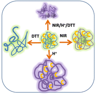 Graphical abstract: NIR light, pH, and redox-triple responsive nanogels for controlled release