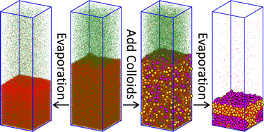 Graphical abstract: Inducing stratification of colloidal mixtures with a mixed binary solvent